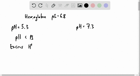 hemoglobin-has-p-i68-does-hemoglobin-have-a-net-negative-charge-or-net-positive-charge-at-p-h53-at-p