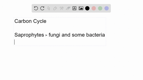 explain-why-fungi-that-degrade-dead-plant-materials-are-important-to-the-global-carbon-cycle-do-yo-2