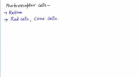 retinal-cells-involved-in-colour-vision-are-a-cones-b-rods-c-neurons-d-neuroglial-cells