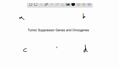 normally-in-a-noncancer-cell-___________-stimulate-the-cell-cycle-and-__________-inhibit-the-cell-cy
