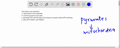 the-krebs-cycle-reactions-a-take-place-in-the-cytoplasm-b-convert-glucose-to-pyruvate-c-generate-atp