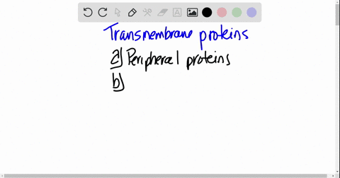 transmembrane-proteins-a-are-peripheral-proteins-b-are-receptor-proteins-c-extend-completely-throu-5