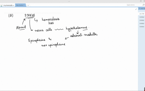 for-each-of-the-following-situations-name-the-hormones-that-isare-most-likely-responsible-for-the-ef