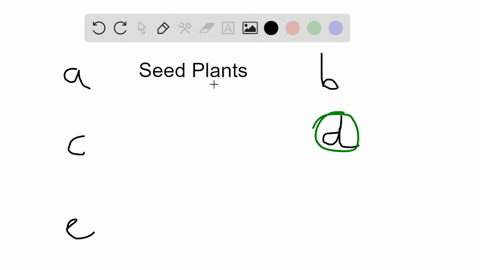 angiosperms-and-gymnosperms-share-which-of-the-following-reproductive-characteristics-a-pollination-