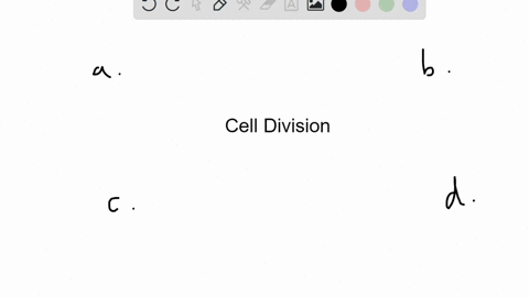 the-part-of-meiosis-that-is-similar-to-mitosis-is-_____-a-meiosis-i-b-anaphase-i-c-meiosis-ii-d-inte