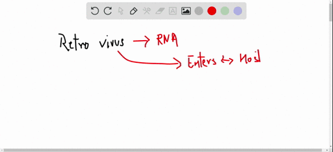 Solved List The Steps Involved In The Reverse Transcription And Solved List The Steps Involved In The Reverse Transcription And