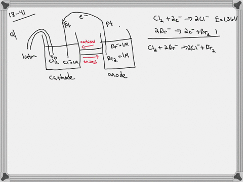 sketch-the-galvanic-cells-based-on-the-following-half-reactions-show-the-direction-of-electron-flow-