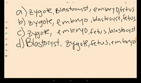 which-of-the-following-puts-human-developmental-stages-in-the-correct-order-a-zygote-blastocyst-embr