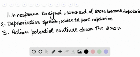this-figure-shows-the-transfer-of-an-action-potential-through-a-neuron-what-is-occurring-in-panel-3-