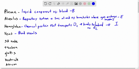match-the-words-with-their-descriptions-__________-plasma-__________-alveolus-__________-hemoglobin-
