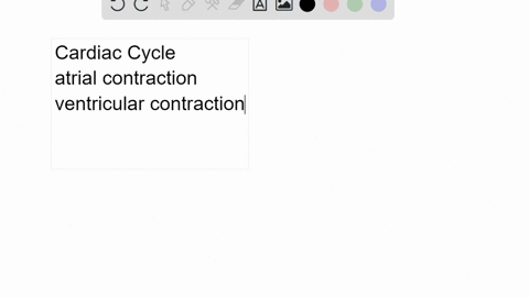 describe-one-cardiac-cycle-beginning-with-both-atria-and-ventricles-relaxed