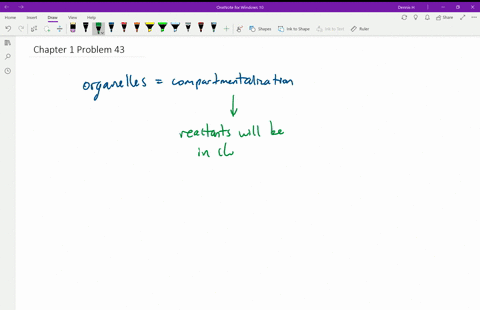 why-is-it-advantageous-for-a-cell-to-have-organelles-discuss-this-concept-from-the-standpoint-of-the