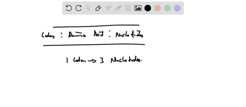 a-monomeric-protein-contains-154-amino-acids-how-many-codons-code-for-these-amino-acids-how-many-n-2