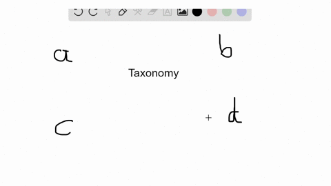 which-of-the-following-is-not-a-domain-of-life-a-bacteria-b-archaea-c-protists-d-eukarya-2