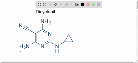name-the-functional-groups-in-dicyclanil-identify-the-heterocyclic-amine-in-dicyclanil