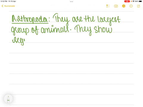 ________-is-the-largest-phylum-of-animals