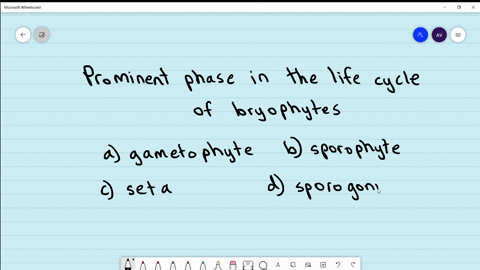 the-prominent-phase-in-the-life-cycle-of-bryophytes-is-a-gametophyte-b-sporophyte-c-seta-d-sporogoni