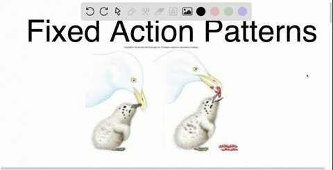 which-of-the-following-is-not-true-of-a-fixed-action-pattern-a-its-expression-may-depend-on-hormon-2