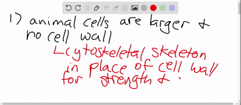 why-do-eukaryotic-cells-and-especially-animal-cells-have-such-large-and-complex-cytoskeletons-list-t