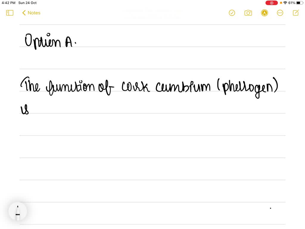 ⏩SOLVEDThe function of cork cambium (phellogen) is to produce (a