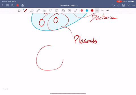fill-in-the-blank-a-___________-is-a-small-circle-of-bacterial-dna-that-is-not-part-of-the-bacterial