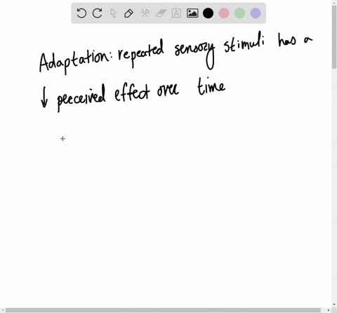 explain-why-evolution-has-favored-slow-sensory-adaptation-to-pain-stimuli