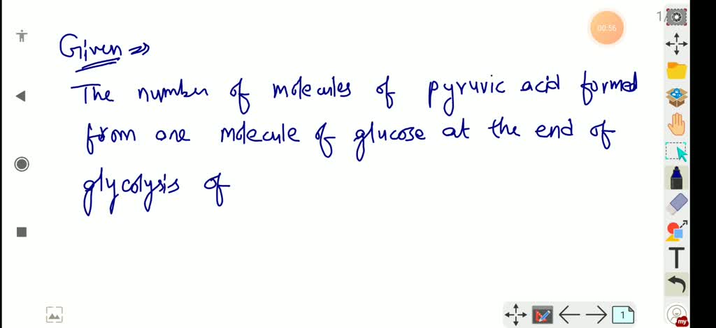 solved-the-number-of-molecules-of-pyruvic-acid-formed-from-one-molecule