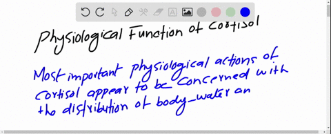 what-physiological-functions-are-associated-with-cortisol-3