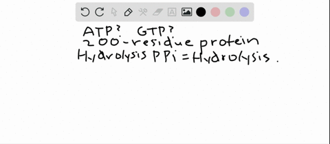 what-is-the-smallest-number-of-molecules-of-atp-and-gtp-consumed-in-the-synthesis-of-a-200-residue-p