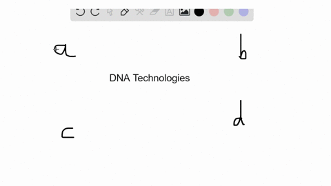which-enzyme-has-the-ability-to-cut-dna-at-specific-regions-a-dna-ligase-b-helicase-c-dna-polymerase