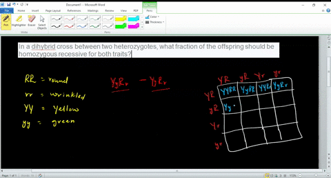 in-a-dihybrid-cross-between-two-heterozygotes-what-fraction-of-the-offspring-should-be-homozygous-re