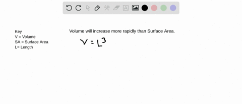 as-an-animal-gets-larger-which-of-the-following-occurs-a-its-surface-area-grows-more-rapidly-than-it