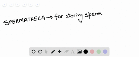 the-spermatheca-which-is-found-in-many-insects-worms-and-mollusks-is-useful-for-_____-a-spermatogene