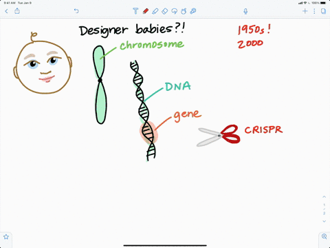 in-the-future-gene-technology-may-make-it-possible-for-parents-to-produce-children-with-athletic-a-2