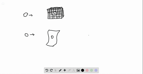 you-cant-throw-a-raw-egg-against-a-wall-without-breaking-it-but-peter-hopkinson-can-throw-an-egg-at-