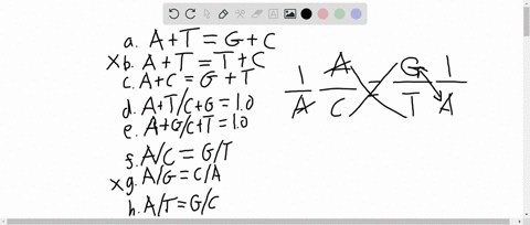which-of-the-following-relations-or-ratios-would-be-true-for-a-double-stranded-dna-molecule-a-atgc-b