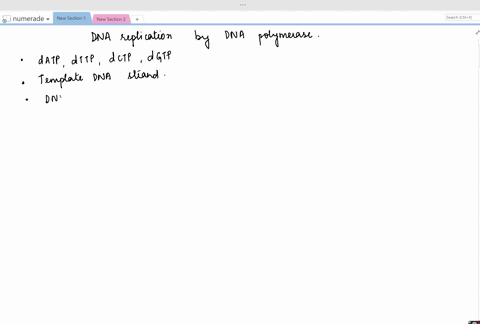 list-the-substances-required-for-replication-of-dna-catalyzed-by-dna-polymerase-2