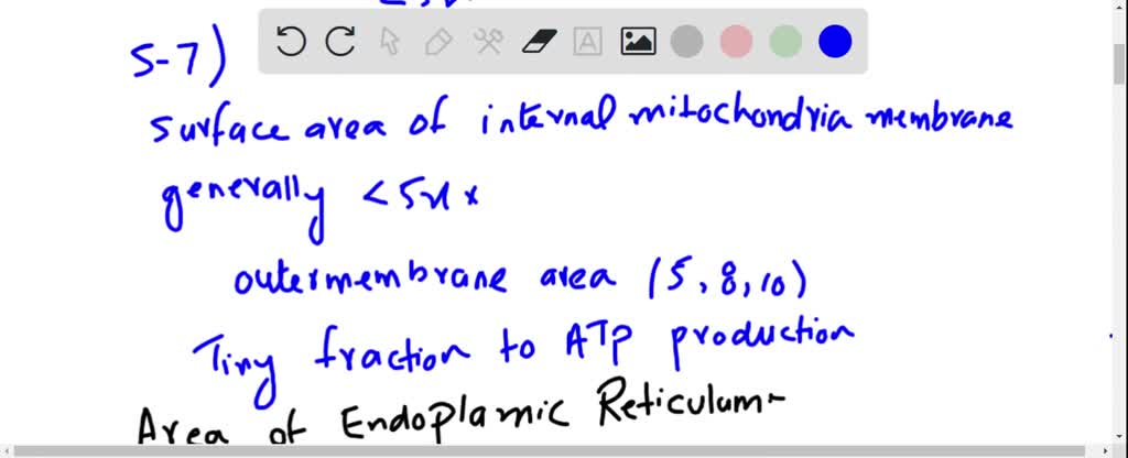 What Happens If Ribosomes Are Missing