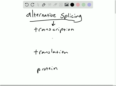 which-of-the-following-may-produce-more-than-one-functional-protein-from-an-mrna-transcript-a-chroma