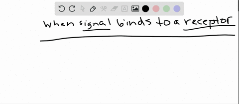 which-of-the-following-is-not-a-consequence-of-a-signal-binding-to-a-receptor-a-activation-of-rece-2