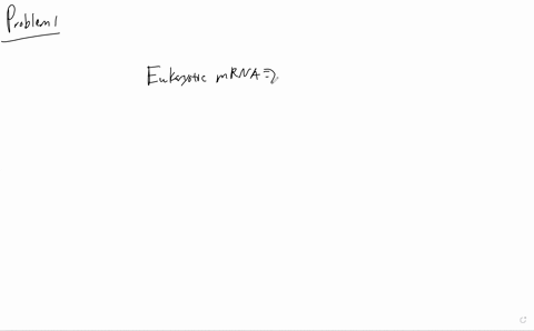 eukaryotic-mrna-a-uses-snrnps-to-cut-out-introns-and-seal-together-translatable-exons-b-uses-a-spl-3