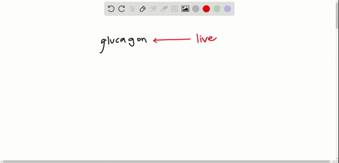 which-organ-produces-glucagon-and-why-3
