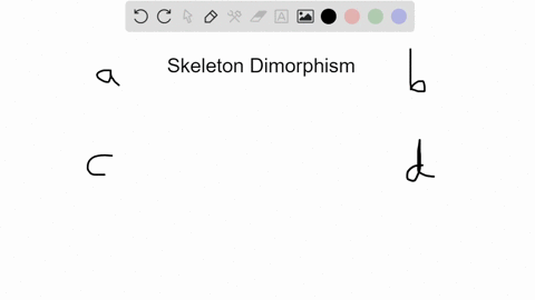 which-of-the-following-helps-to-distinguish-the-skeleton-of-a-male-from-that-of-a-female-a-measuring