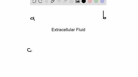 the-major-anion-in-extracellular-fluid-is-________-a-sodium-b-potassium-c-chloride-d-bicarbonate