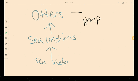 draw-a-vertical-food-chain-part-of-a-food-web-showing-that-sea-urchins-eat-kelp-and-that-sea-otters-