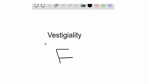 true-or-false-some-traits-are-considered-vestigial-because-they-existed-long-ago-2
