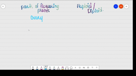 identify-each-part-in-a-flowering-plant-and-write-whether-it-is-haploid-n-or-diploid-2-n-a-ovary-b-a
