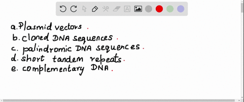 these-highly-polymorphic-molecular-markers-are-useful-in-dna-fingerprinting-a-plasmid-vectors-b-cl-2