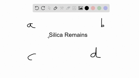 silica-rich-remains-of-___-are-used-as-an-insecticide-a-dinoflagellates-b-diatoms-c-foraminiferans-d