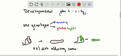 the-process-whereby-changes-in-the-timing-of-developmental-gene-expression-can-change-the-form-of-an